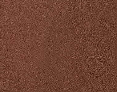 SX-38  Leather