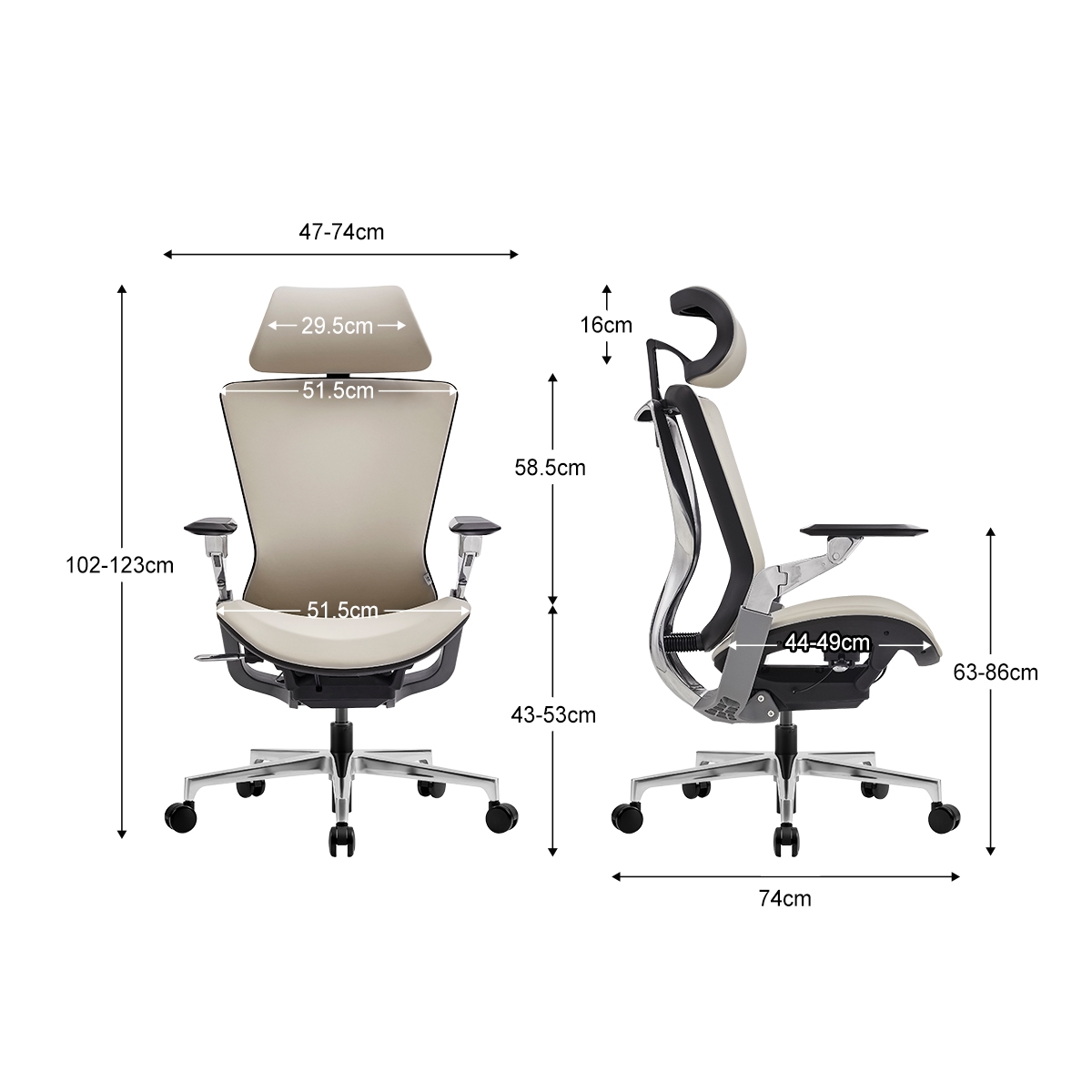 Dolphin Chair 2